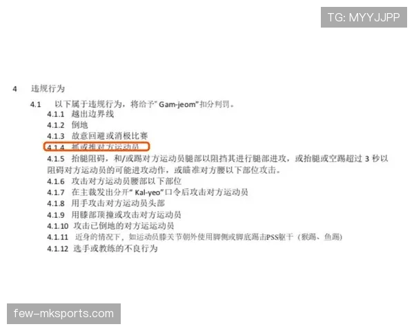 禁区规则详细解读：判罚依据与裁判关键判定标准